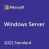 Windows Server 2022 (Standard)